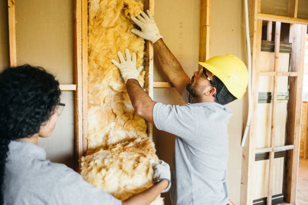Best Insulation Contractor Near Me  in Lumberton, NC