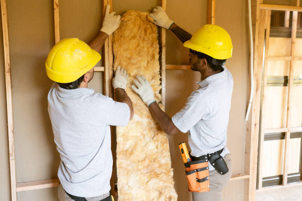 Best Attic Insulation Installation  in Lumberton, NC