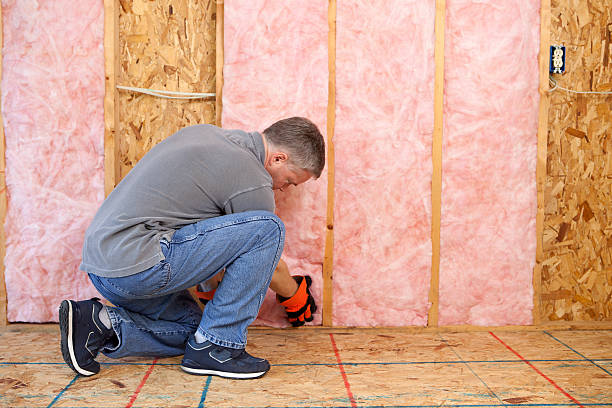 Best Insulation Replacement Services  in Lumberton, NC
