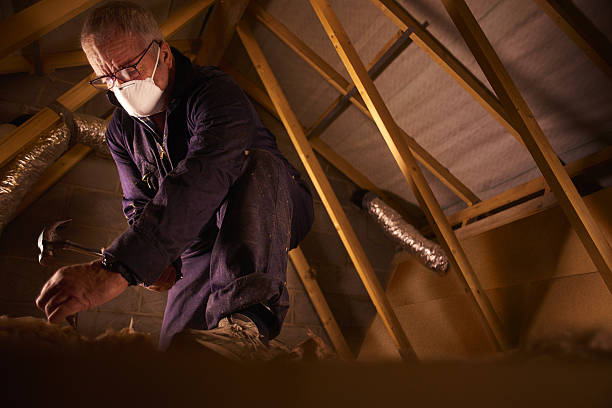 Best Affordable Insulation Services  in Lumberton, NC