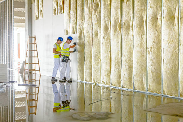 Best Residential Insulation Services  in Lumberton, NC